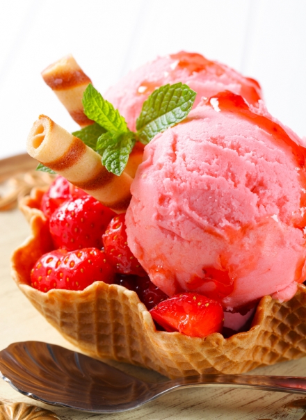 come fare il gelato a casa - vicegelato.com